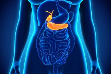 Safra Kesesi Hastalıkları