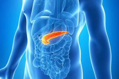 Pankreas Hastalıkları