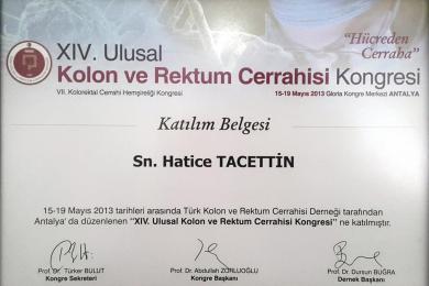 Serifika ve Eğitimler-18