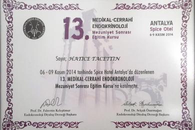 Serifika ve Eğitimler-19