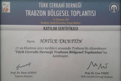 Serifika ve Eğitimler-2