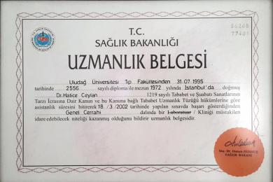 Serifika ve Eğitimler-21