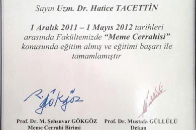 Serifika ve Eğitimler-25