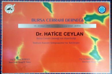 Serifika ve Eğitimler-29