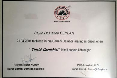 Serifika ve Eğitimler-31