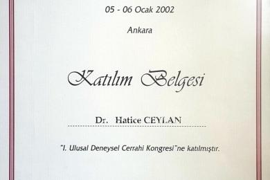 Serifika ve Eğitimler-34