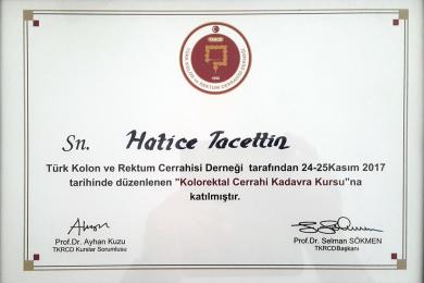 Serifika ve Eğitimler-5